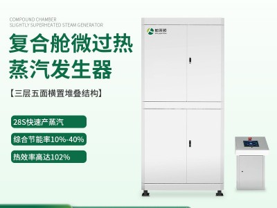 复合舱微过热蒸汽发生器（1.7吨）图2