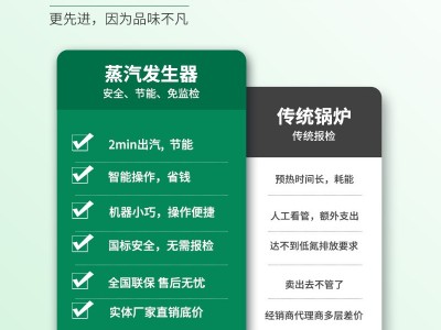 帕莱顿燃气蒸汽发生器0.2吨蒸汽锅炉图2