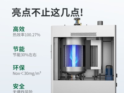 帕莱顿燃气蒸汽发生器0.5吨蒸汽锅炉图2
