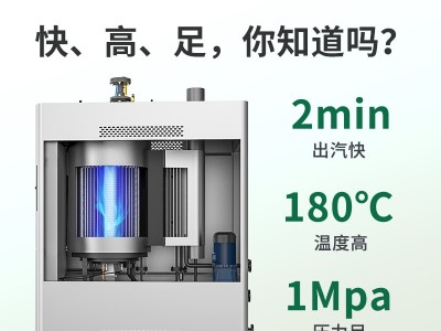 帕莱顿燃气蒸汽发生器0.5吨蒸汽锅炉图3