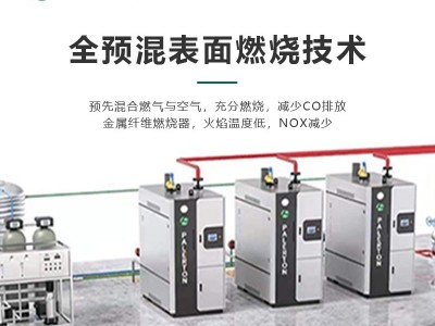 帕莱顿燃气蒸汽发生器1.0吨蒸汽锅炉图2