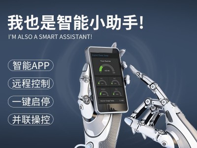帕莱顿燃气蒸汽发生器1.0吨蒸汽锅炉图3
