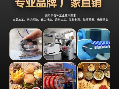 帕莱顿燃气蒸汽发生器1.5吨蒸汽锅炉图3