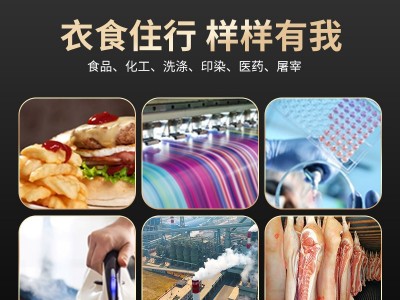 帕莱顿0.5吨生物质蒸汽发生器图3