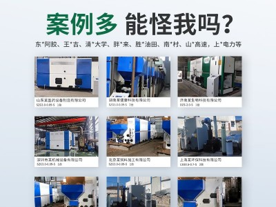 帕莱顿1.0吨生物质蒸汽发生器图2