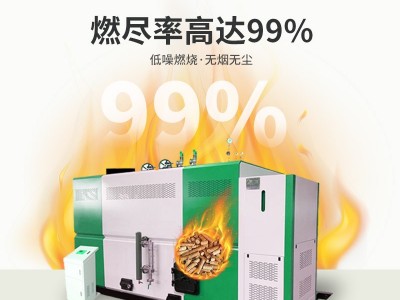 帕莱顿1.5吨生物质蒸汽发生器图3