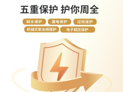 帕莱顿1.5吨生物质蒸汽发生器图2