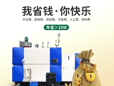 帕莱顿2.0吨生物质蒸汽发生器图3