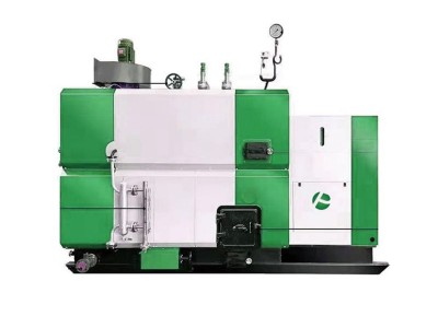帕莱顿3.0吨生物质蒸汽发生器图5