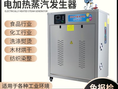 帕莱顿电加热144kw蒸汽发生器图2