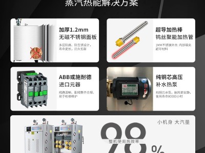 帕莱顿电加热192kw蒸汽发生器图2