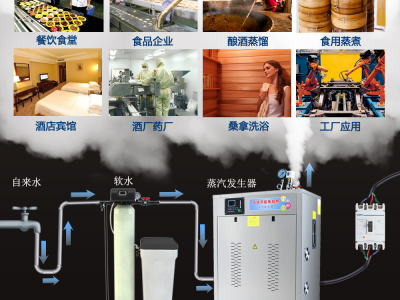 帕莱顿电加热360kw蒸汽发生器图5