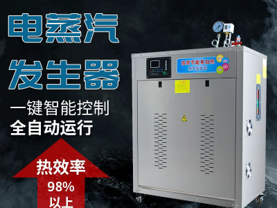帕莱顿电加热（6kw-18kw）蒸汽发生器图2
