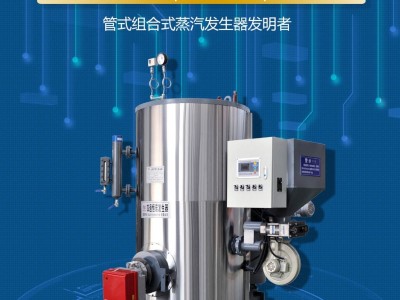 燃油气生物质两用蒸汽发生器图2