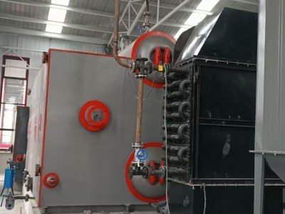胜宇SZL型生物质锅炉图3
