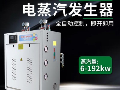 帕莱顿蒸汽发生器