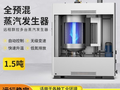 帕莱顿蒸汽发生器