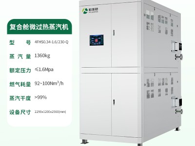 帕莱顿蒸汽发生器