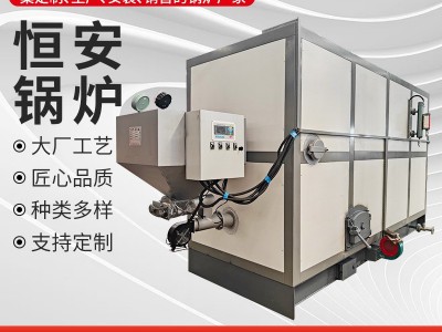 全自动生物质蒸汽发生器 烧柴蒸汽发生器节能蒸汽锅炉图2
