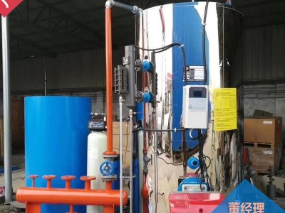 A级燃油蒸汽发生器 燃气蒸汽发生器 蒸汽发生器定制图3