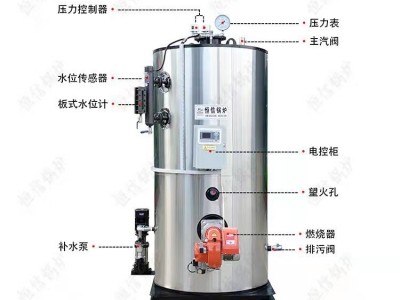A级燃油蒸汽发生器 燃气蒸汽发生器 蒸汽发生器定制图2