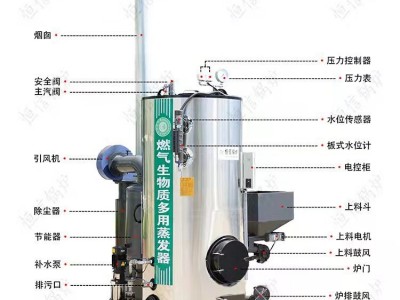A级燃油蒸汽发生器 燃气蒸汽发生器 蒸汽发生器定制图4