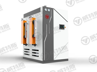 多吨组合燃气蒸汽发生器图2