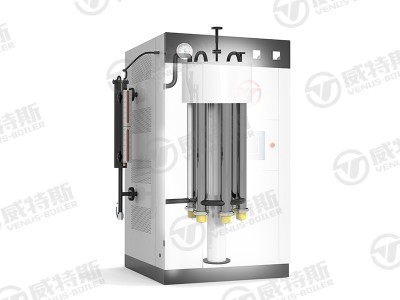 电蒸汽发生器250KG图2