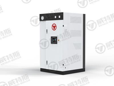 电蒸汽发生器250KG图3