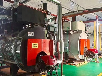 燃油燃气热水锅炉0.5吨~20吨集中供暖采暖热水锅炉厂家直供图4