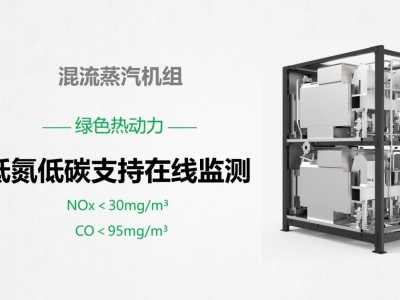 组合式混流蒸汽机0.5T图2