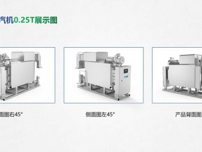 混流蒸汽机0.25T图2