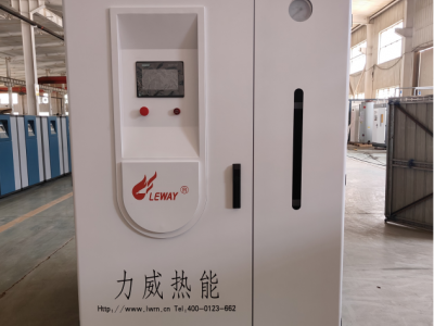 力威燃气蒸汽发生器图2